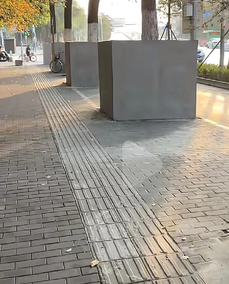 听说这种方式能够更好的保护树木一位陕西的朋友在楼下遛狗的时候拍的一段视频，引起