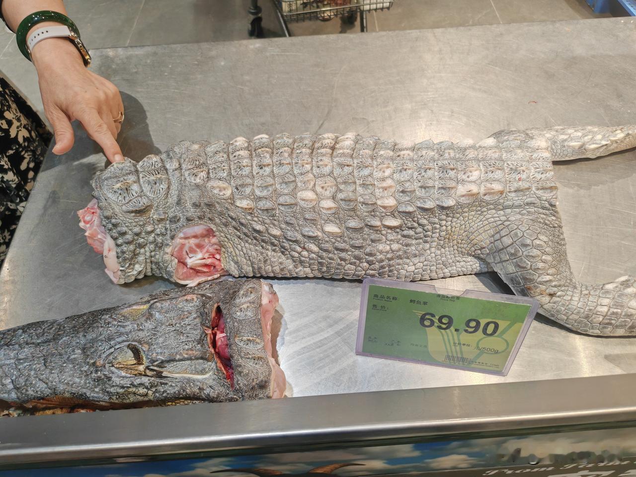 现在的人真是啥都敢吃啊！很多人尤其是小朋友见了都很好奇的围上去伸手摸，皮肤象披上