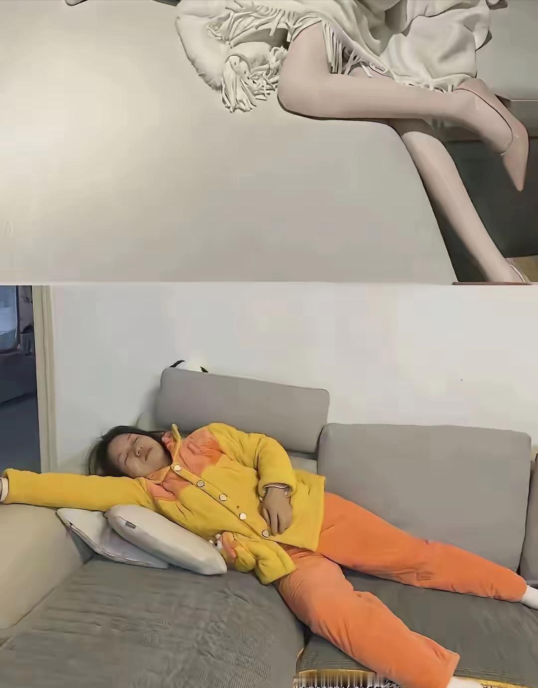 上图你养,下图养你,是你怎么选?