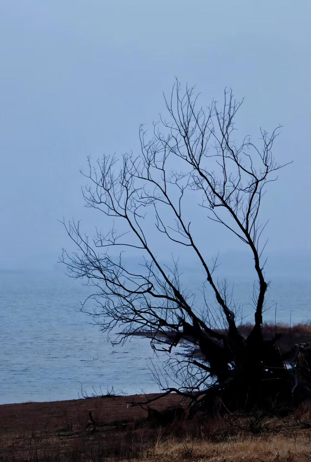 昨天在小区长椅上碰到张姐，她刚办退休，养老金到手两千八，叹着气说这辈子怕是没机会