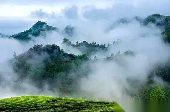 一只鹤，就那么傻站着，连鱼都懒得钓了。一只狗，就趴在门口，天塌下来也跟它没关系