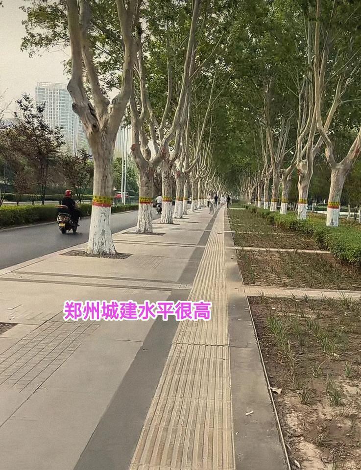 虽说郑州的摩天高楼没有沈阳多，但是这几年我发现郑州的城建水平还是很不错的，因此我
