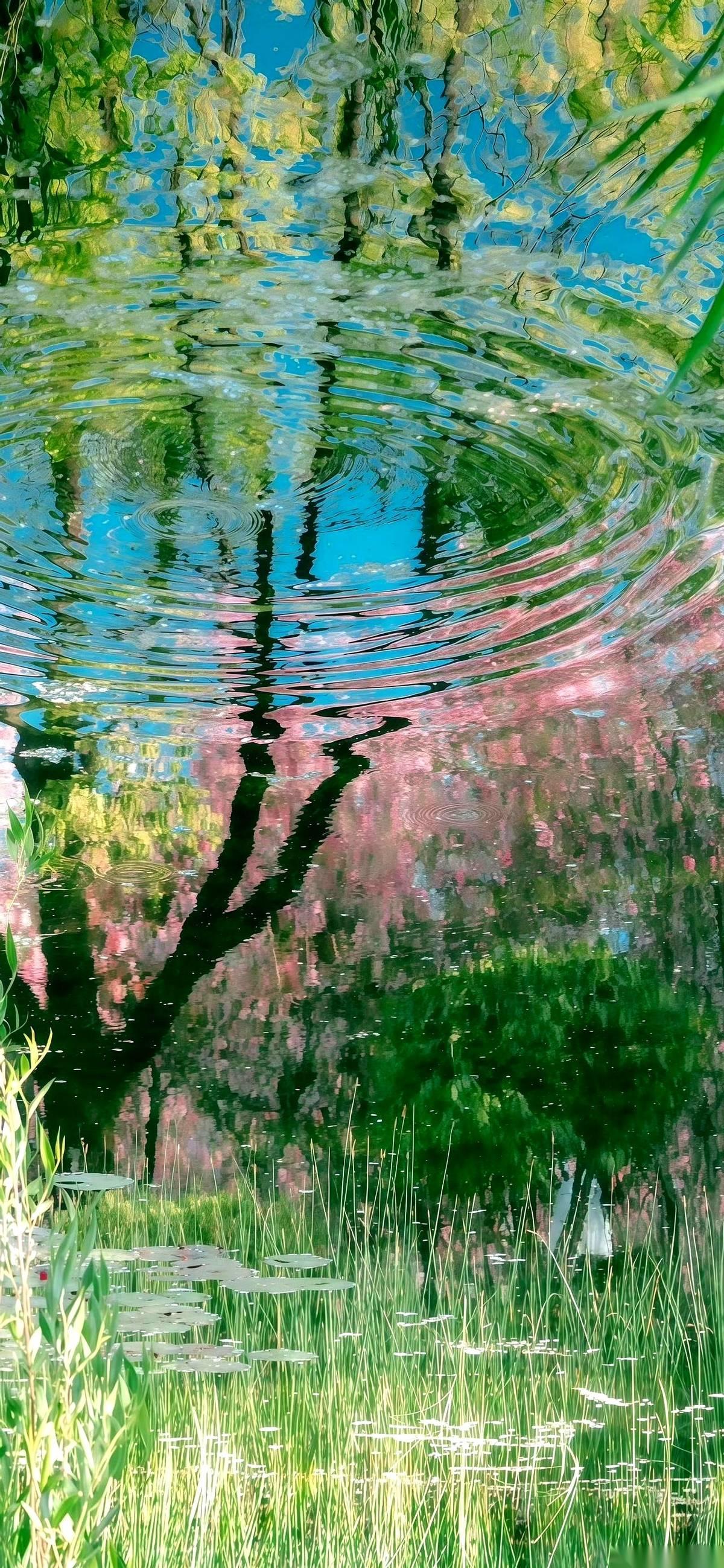 你说这世上，还有比这更寒心的事儿吗？好心好意去村里给人家白事帮忙，结果人当场就