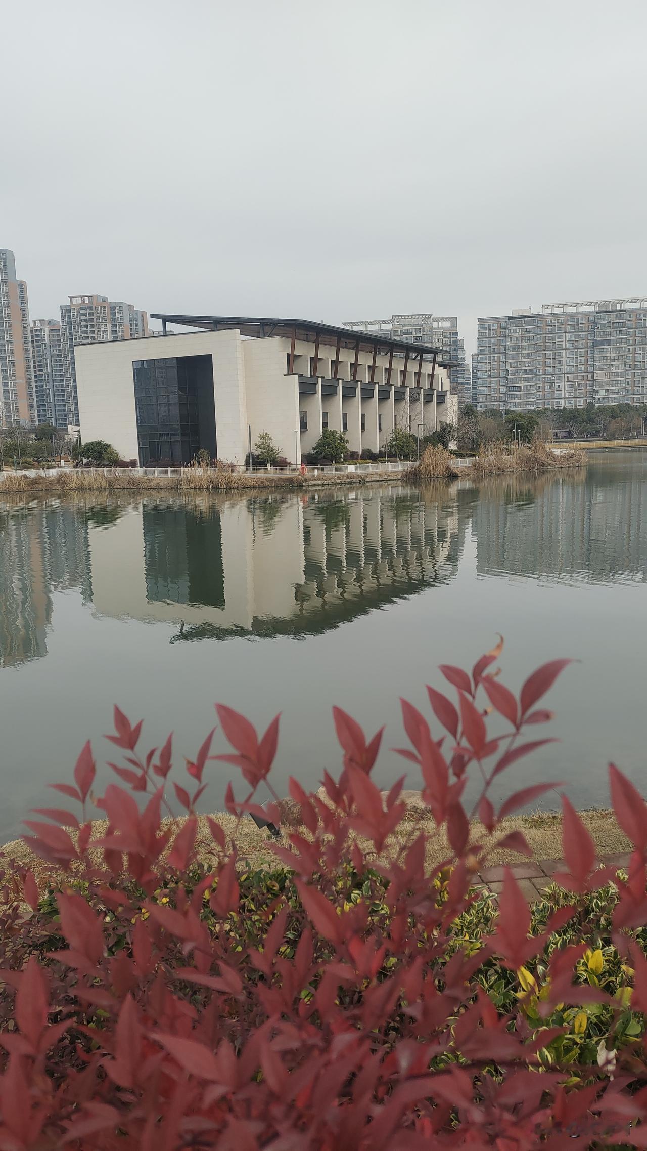 坐标苏州相城区，2月24日，一上午小雨滴滴答答下个不停，下午去活力东岛转了一圈，