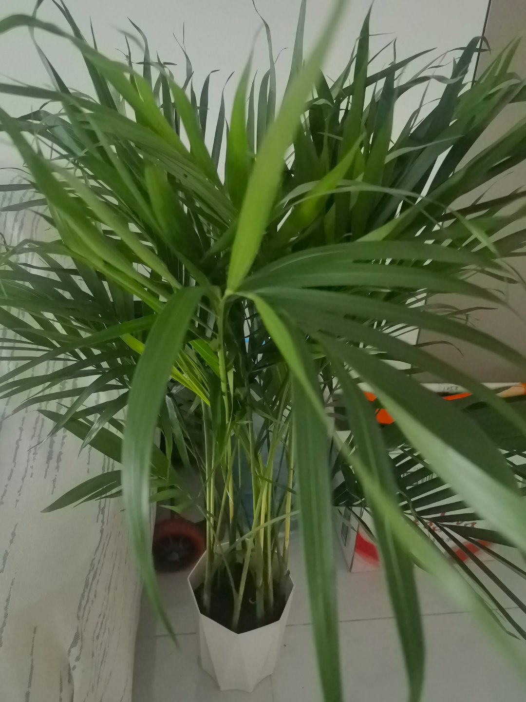 阳光信用每日一善阳光信用一首甜美的旋律，一束温暖的光芒，一份贴心的关怀，我们用