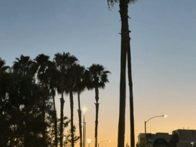 林诗栋自媒体日常更新风景图！我就想知道林诗栋这是在哪儿，看这些植物不像是北京，