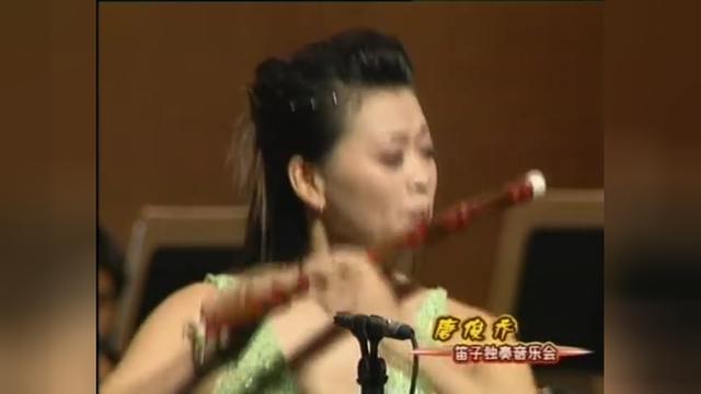 笛子梅花三弄简谱_笛子独奏梅花三弄曲谱(3)