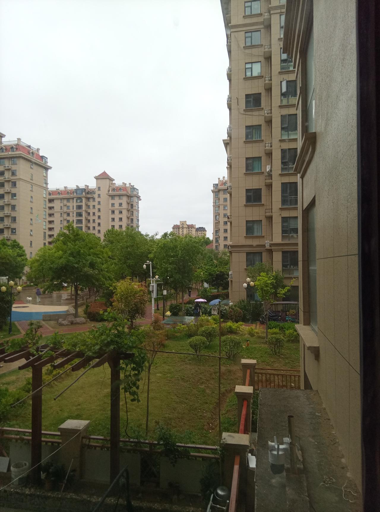 河南鹤壁，又双叒叕下雨了🌧️刚晴没两天，这雨说下就下，还是淅淅沥沥的小雨一整