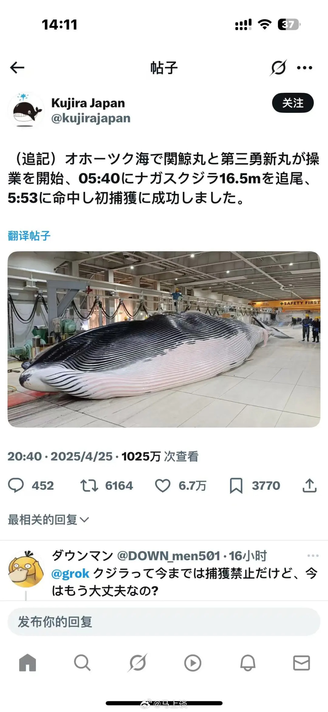 日本不但没有停止捕鲸，还发在X上炫耀…还以“合理利用自然资源”等狗屎科研理由，但