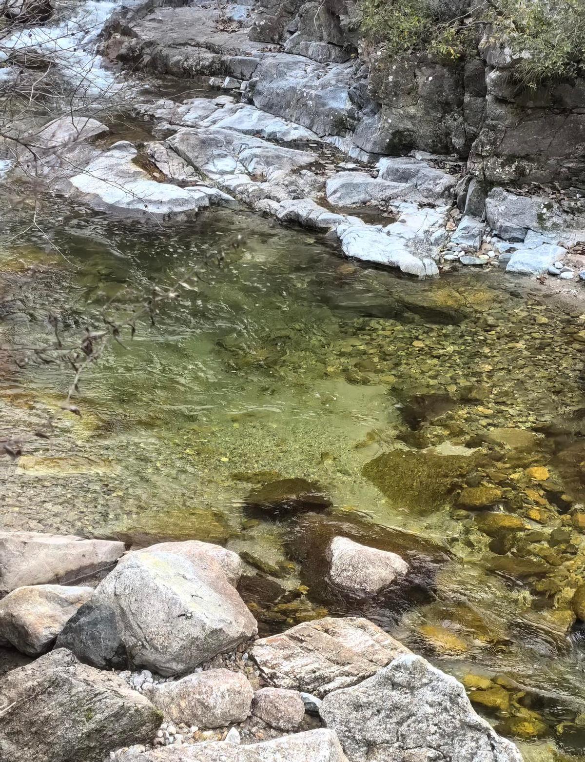 第四天辟谷，站桩站出一身汗，坐一会儿腰像被激光切。师兄说正常，可你腿抖得像手机