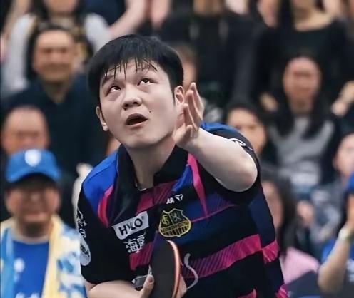 樊振东不仅是乒乓球运动员，还是MLTT战略投资人！中国乒乓球运动员樊振东超