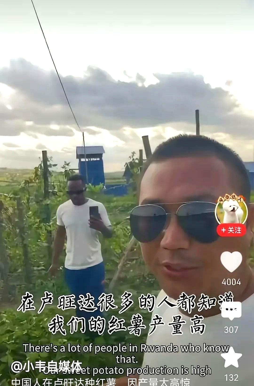 我有种预感，非洲的粮食困局要解开了。听说肯尼亚有些地方农民拿着补贴化肥种地，