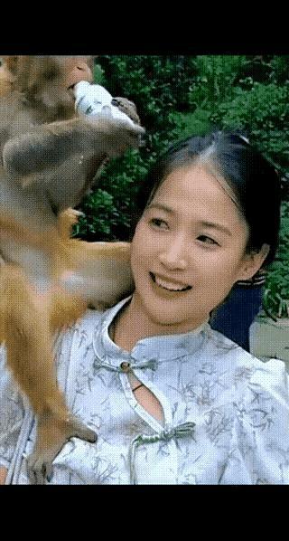 活了四、五十年了才明白自己还不如一只猴！