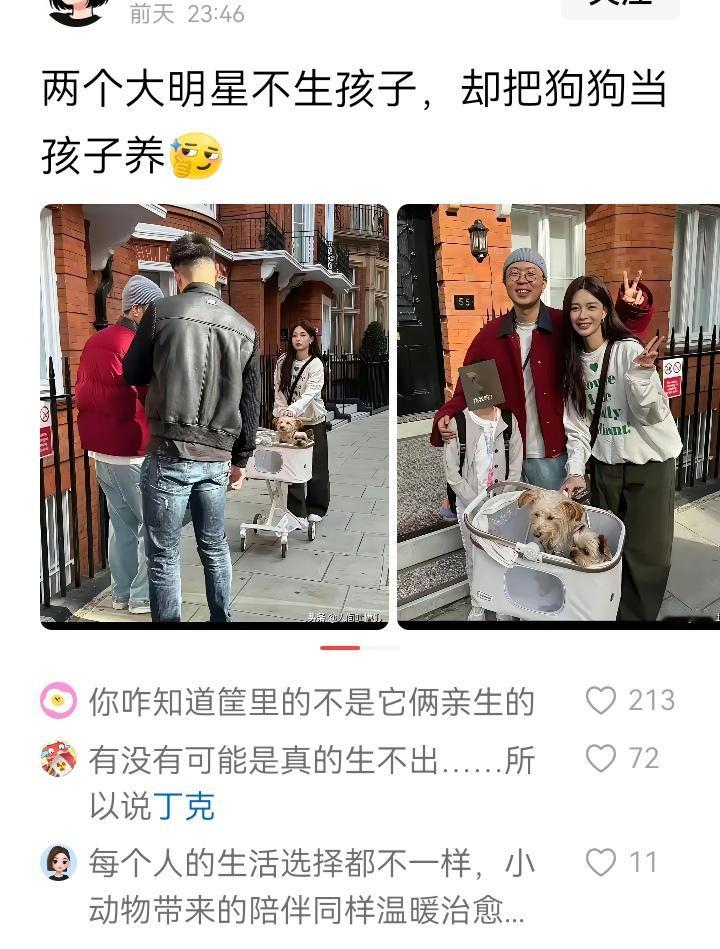 我要是能像杜海涛一样娶了沈梦辰这样的大美女，那至少得生三个娃，毕竟结婚四年多，天