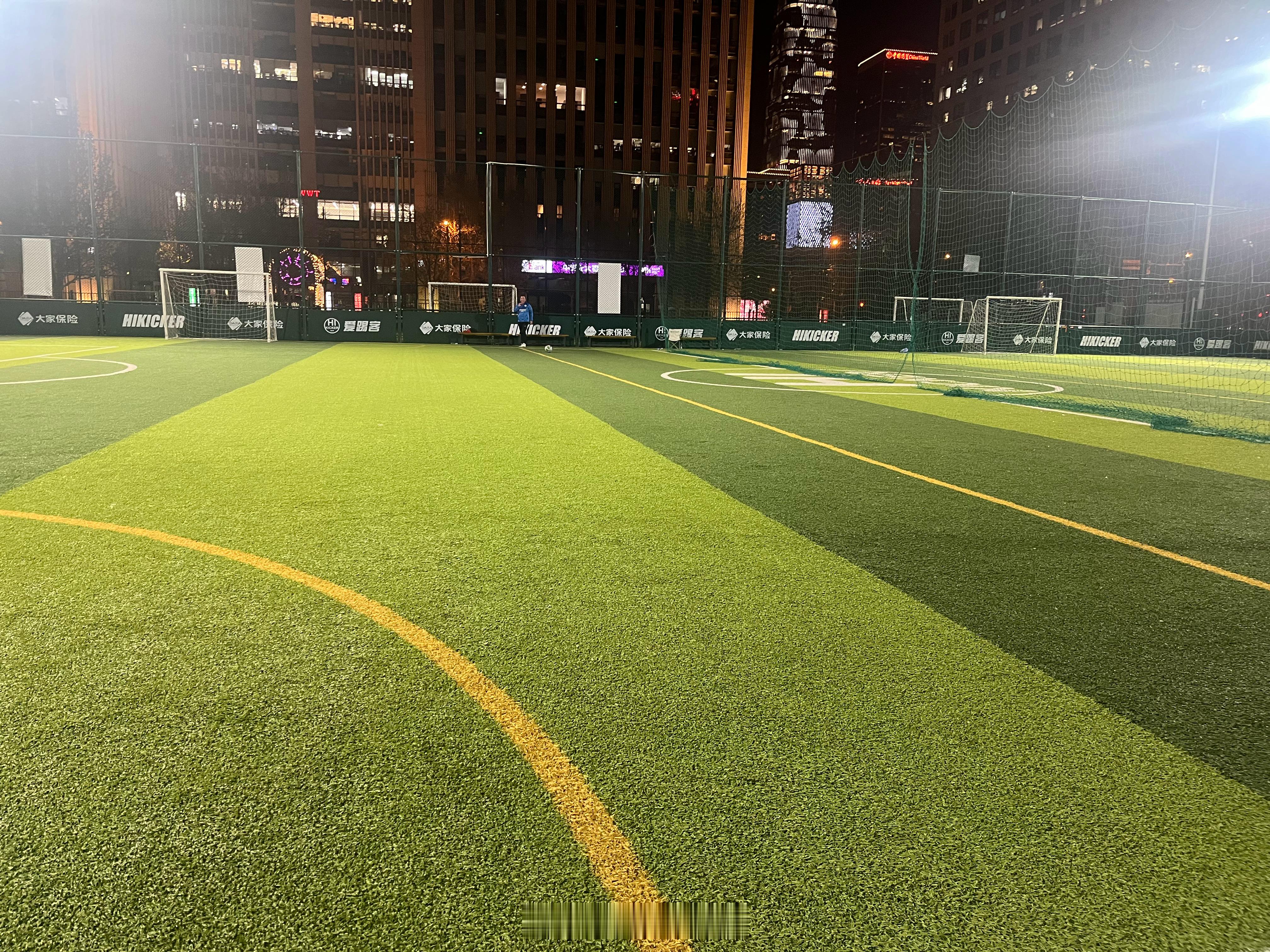 整了个柳絮大战。