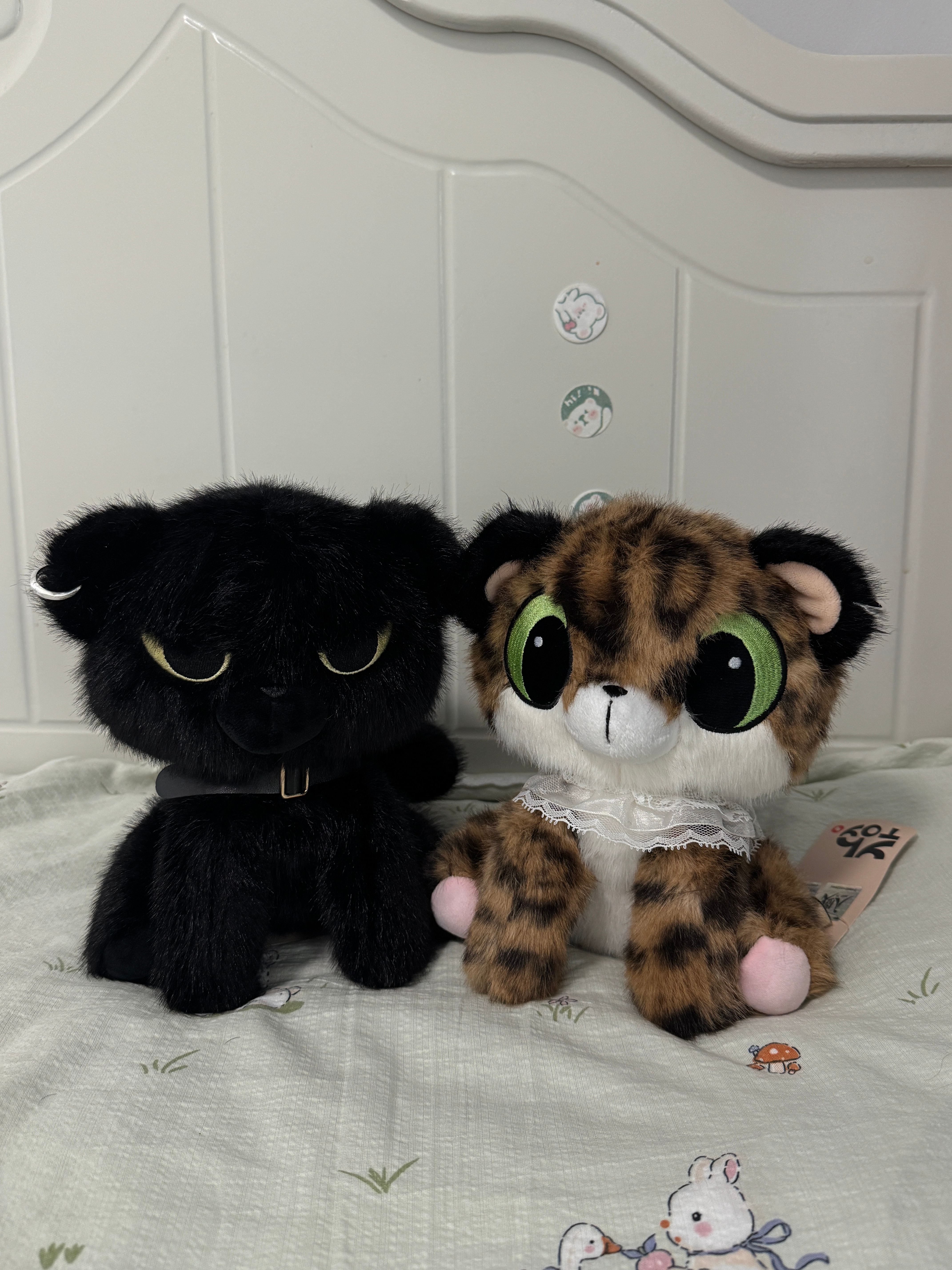 天定良元欢迎豹豹猫猫回家！