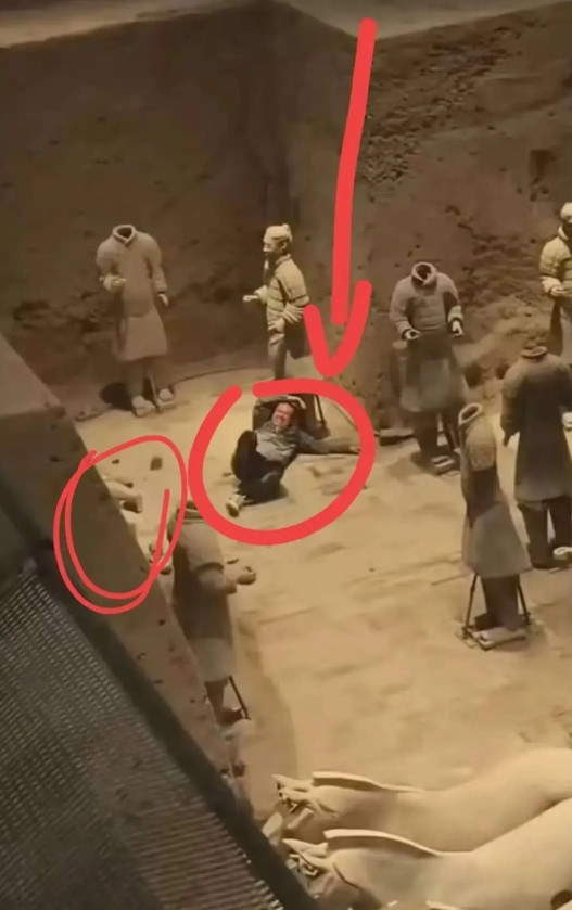 看到跳进兵马俑的男人鉴定有精神疾病我是真的担心不是担心兵马俑修复不好，而是担