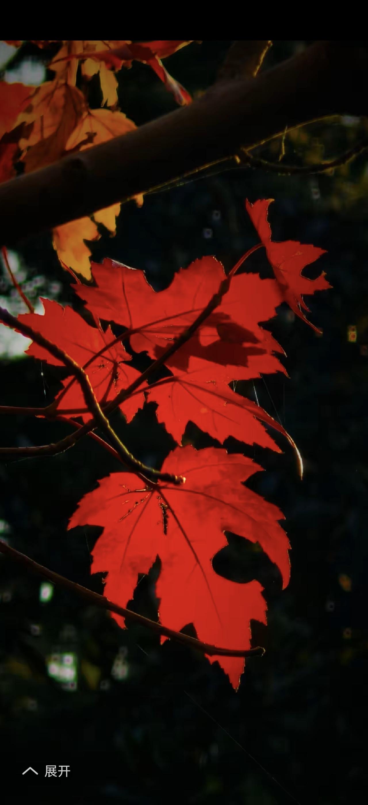 出去走走看看风景