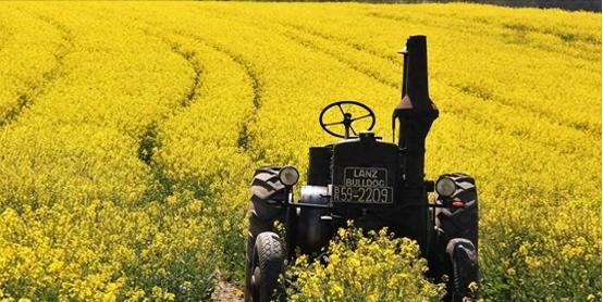 20万吨油菜籽运往中国！2025年7月16日报道中国或将恢复进口澳大利亚油菜籽