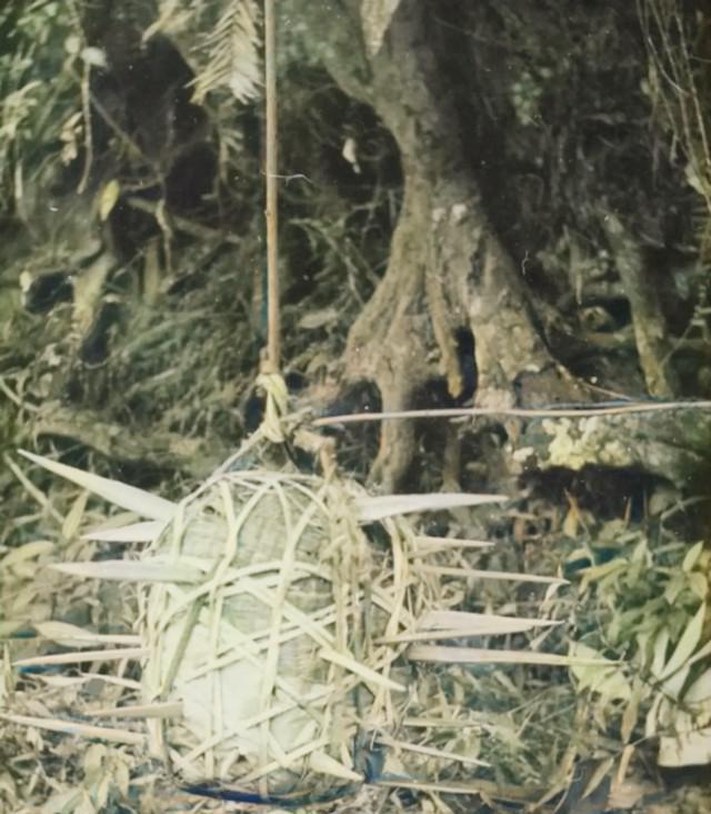 1966年6月7日，美军新兵诺瓦克正随队在岘港的密林里行军。然而，他刚走
