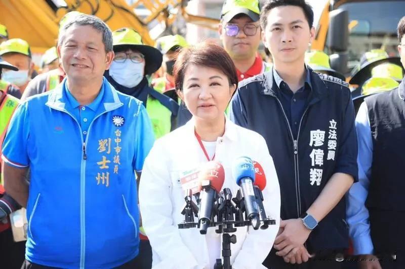 台中蓝营提名达共识外界传郑丽文“隔江打卢”卢秀燕驳斥：我和郑主席情同姐妹不必