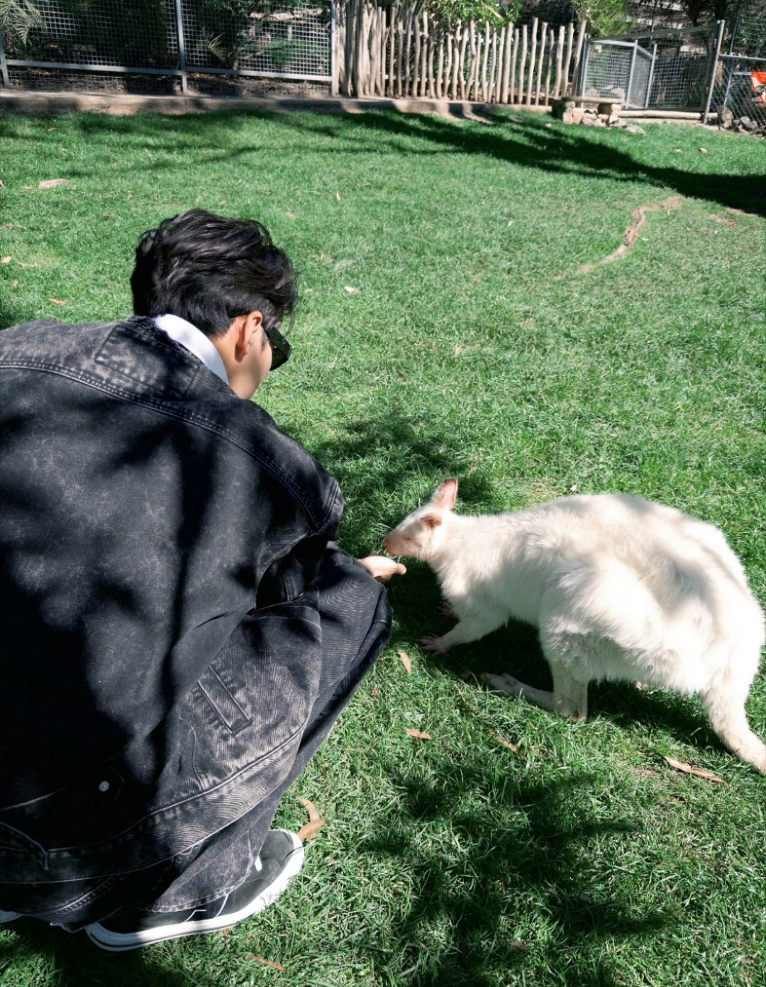 来啦刘学义今天的杂志把我帅晕啦！！！