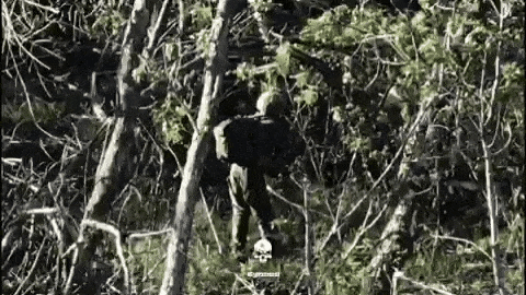 一名俄军士兵发现乌军自杀式无人机飞临，立即站在树林里一动不动，和无人机玩儿起来一