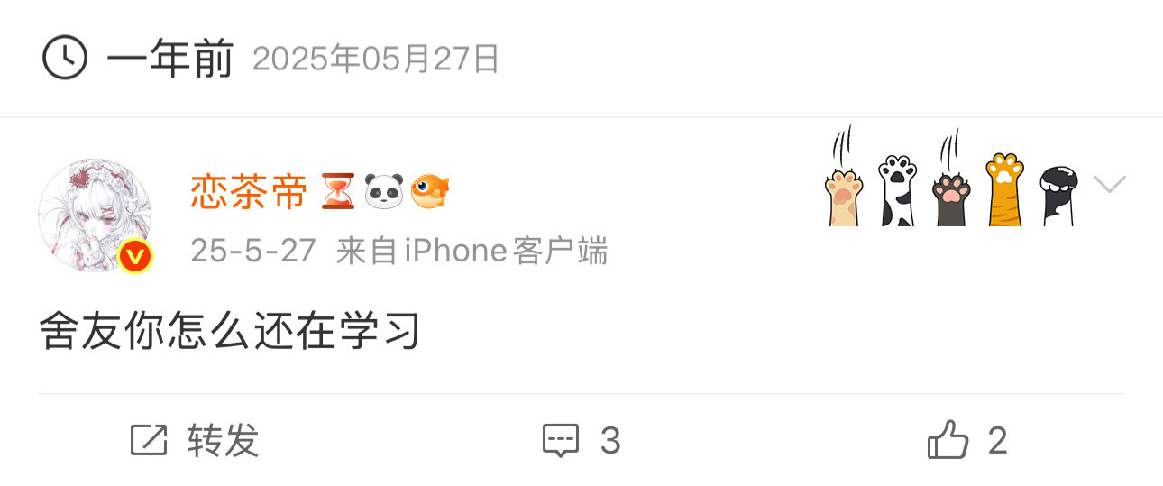 时隔一年舍友已和我一起躺平