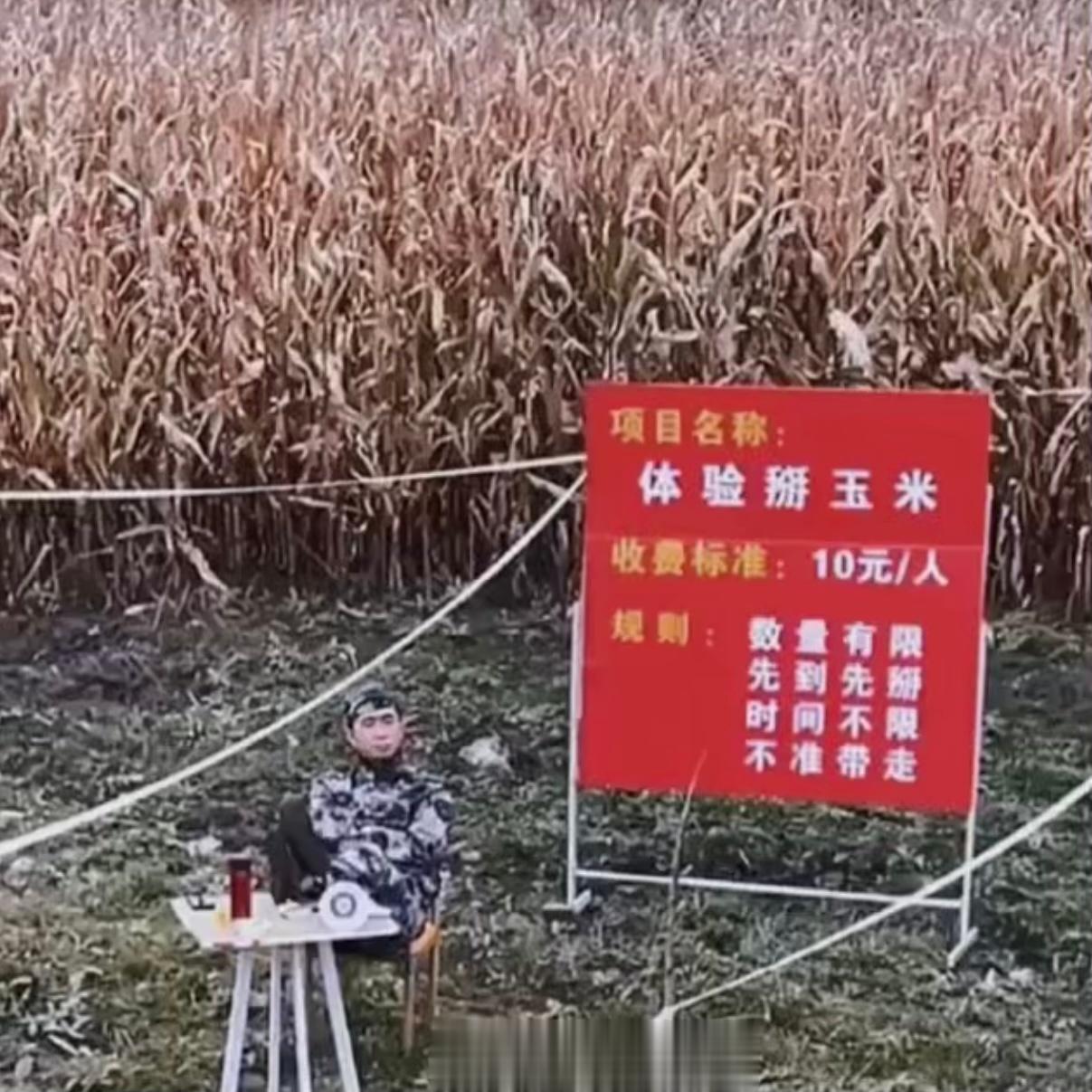 付费打工？？？？？？