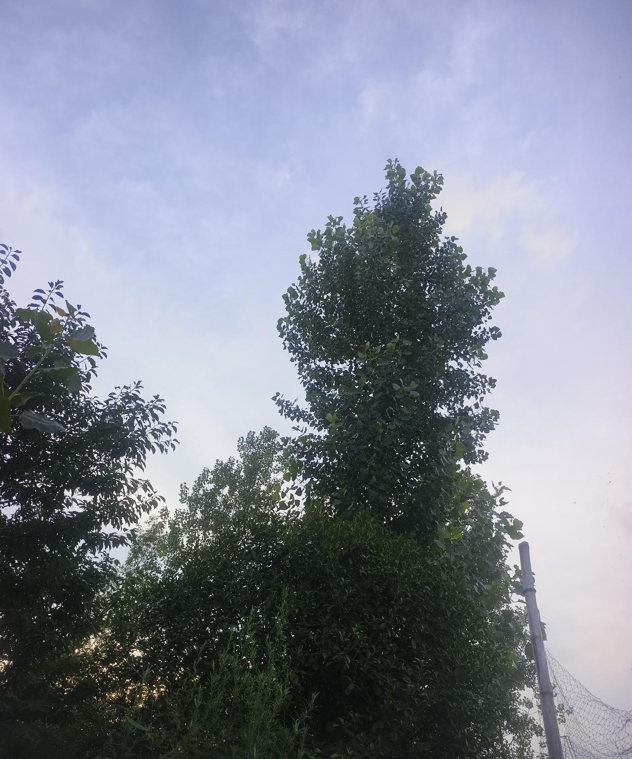 灵魂拷问：只许回答，不许流泪。1，爷爷，2，奶奶，3，外公，