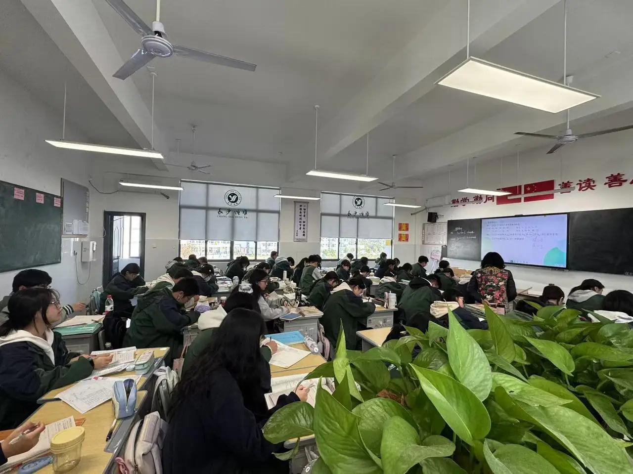 这个11月真难熬，高二的女儿感染甲流往返学校几次。这个11月，似乎成了许多家