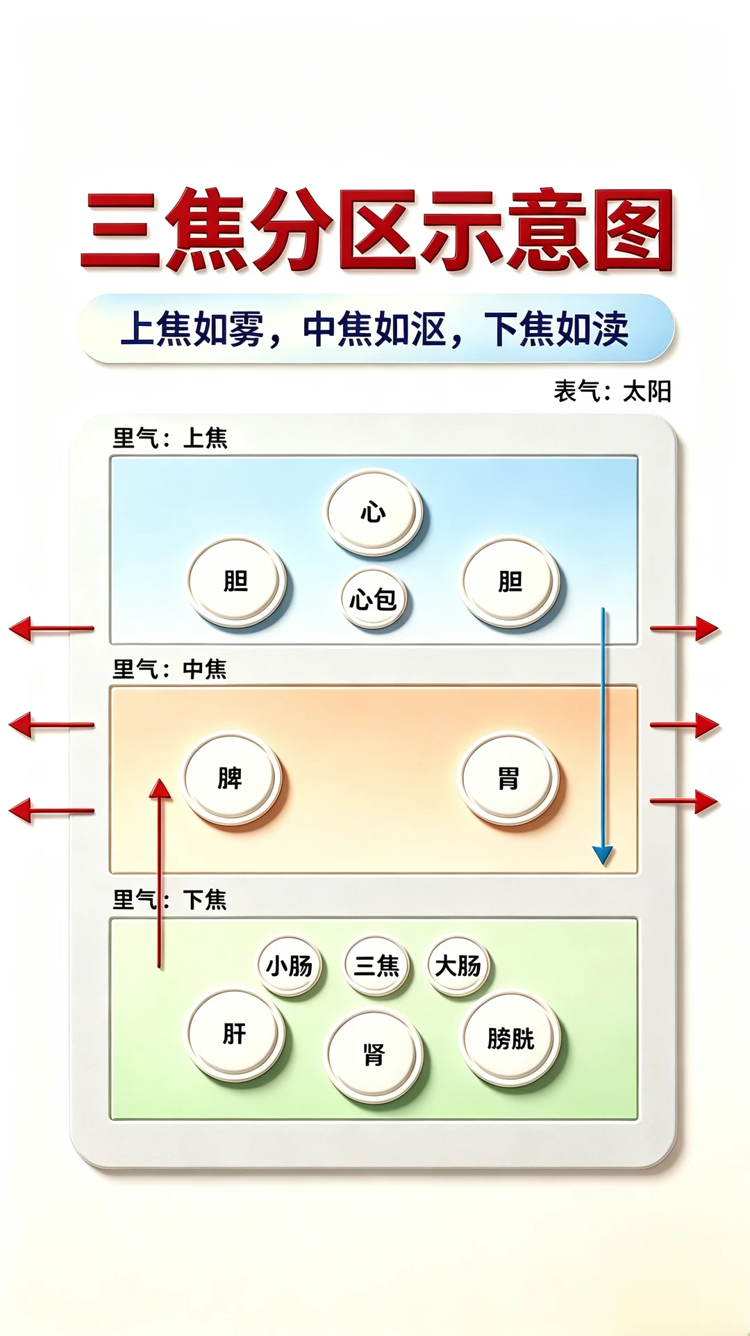 中医必背｜三焦分区一张图看懂🔥