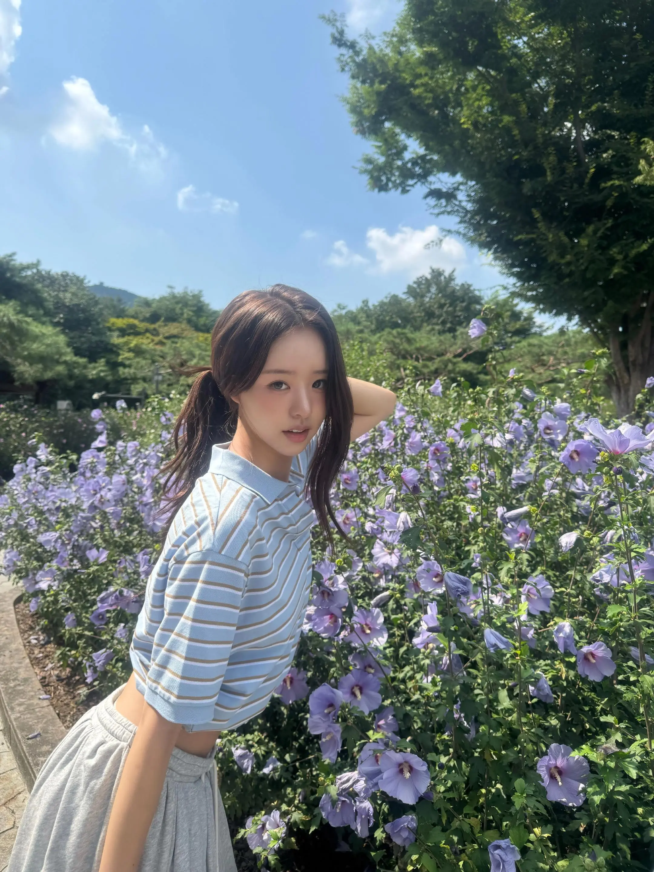 永远明媚。