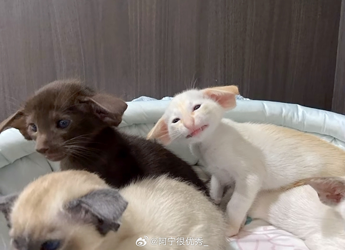 可爱死了​​​