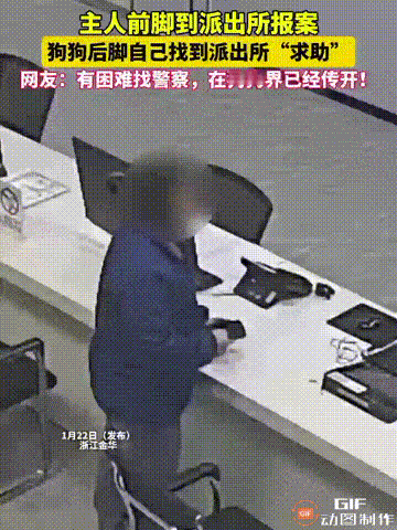 笑不活了！浙江金华一名女子养了一只小狗，谁料打开家门的时候，小狗不慎跑了出去，然