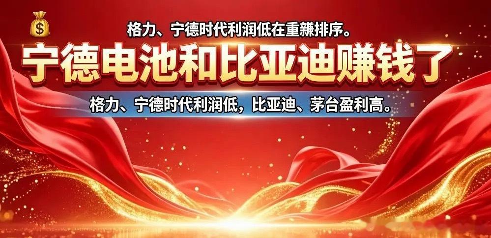 没有对比，就没有伤害！谁赚的更多？宁德时代——营收3200亿，利润307亿。比亚