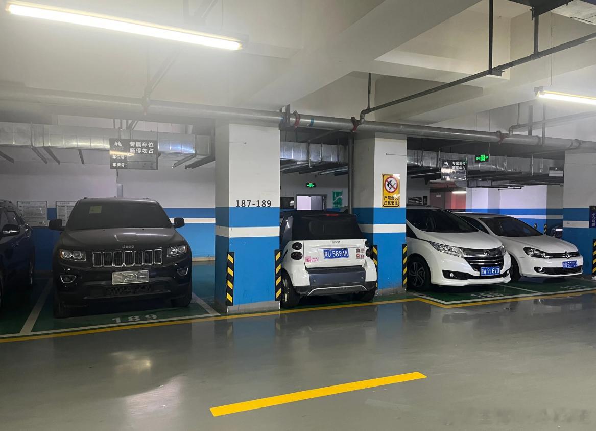 有点恍惚，那是停车位嘛？​​​人咋出来的？​​​