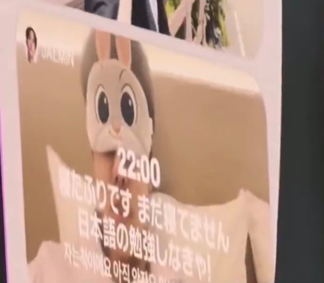 罗渽民我们的朱迪眼罩米菲手机壳🐰🐰🐰