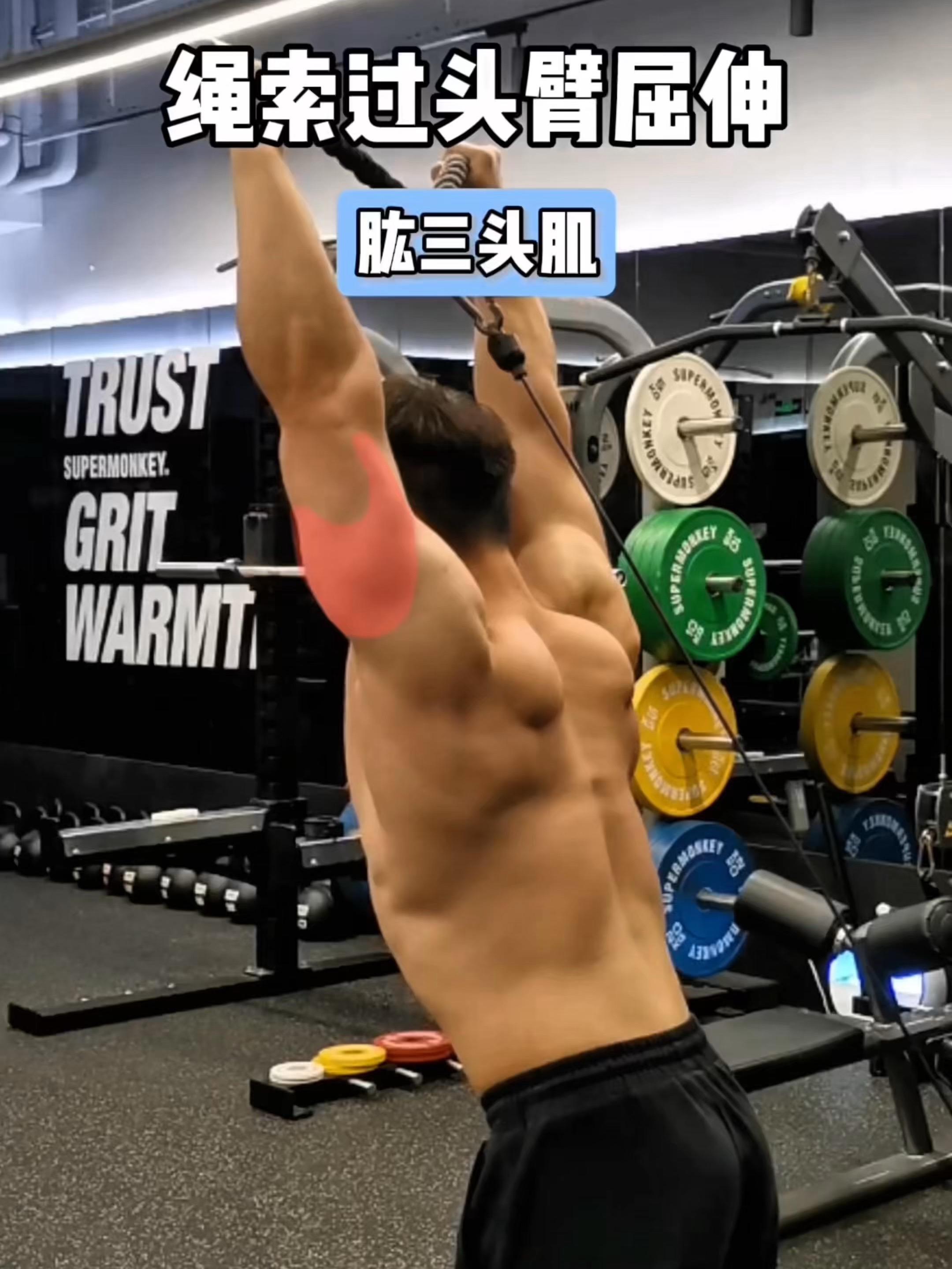 绳索过头臂屈伸，保姆级教程！ 一、目标肌群 绳索过头臂屈伸，肱三头肌 ...