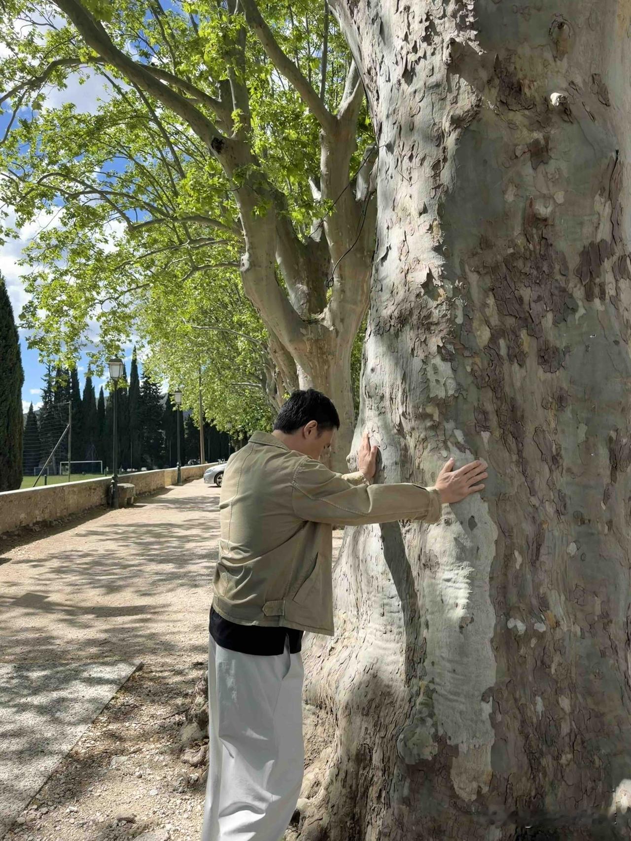 图1的梁朝伟是在跟大树交流，清理能量吗[捂脸哭]梁朝伟这状态绝了！年过六十看着
