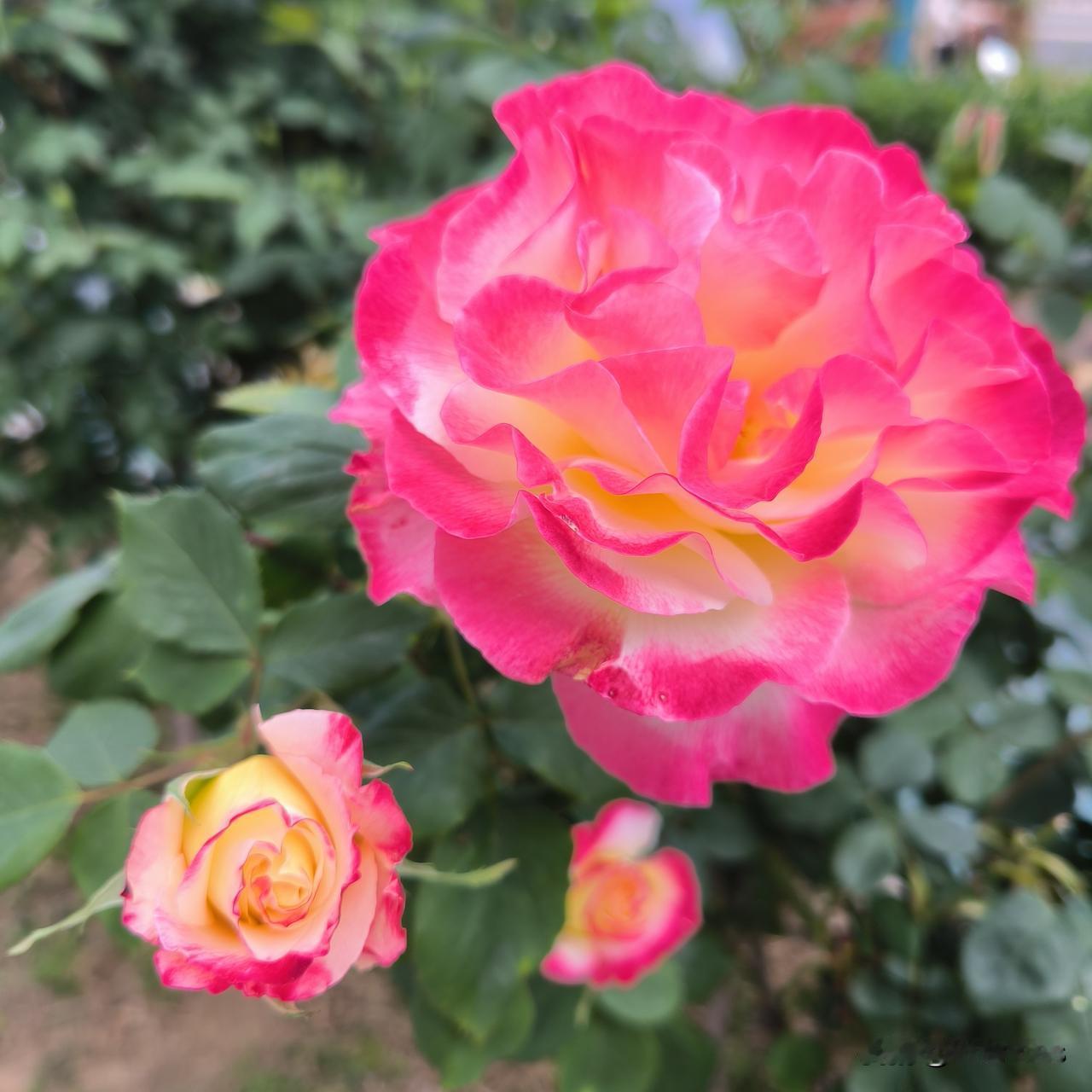 好心办了坏事昨天晚上我刷视频，看到一条新闻：加拿大高端运动品牌lulule