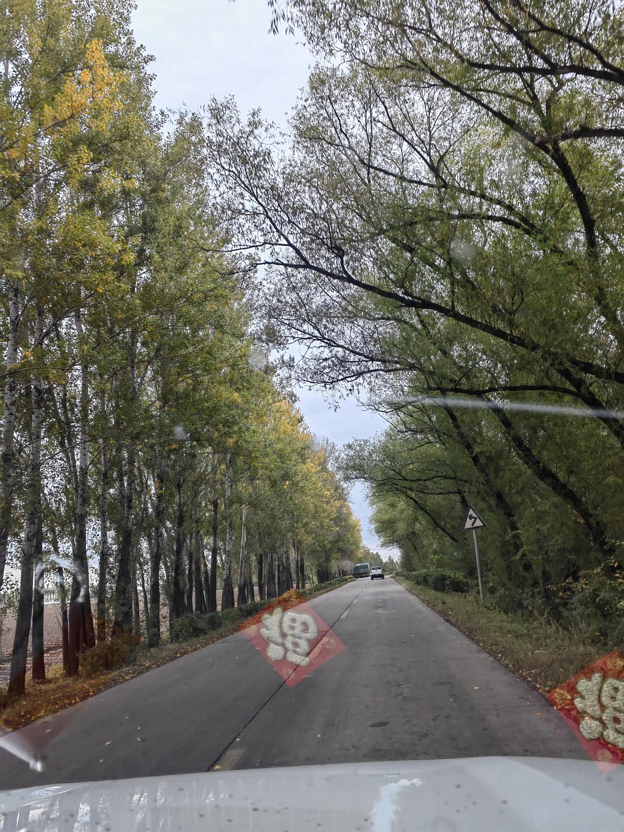 我女儿的体检报告一出来，我感觉天都塌了。26岁，才工作两年。甲状腺结节、乳腺