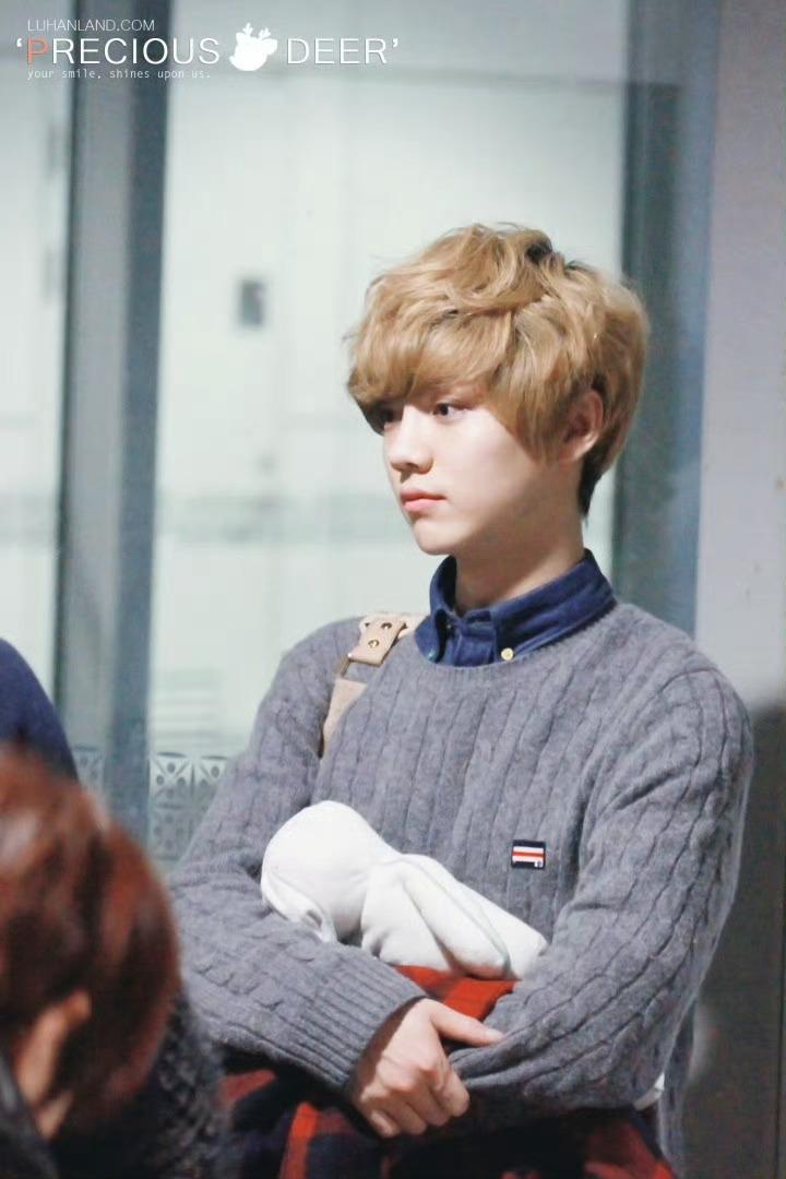 鹿晗每次出现都有新人美什么魔力