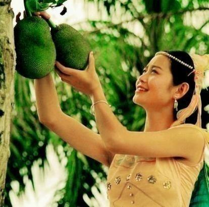 1972年，知青罗盛华，偷摘了傣族老乡家的木瓜，被抓了个正着。罗盛华拿出2元