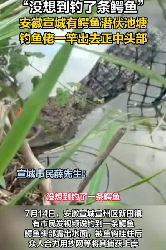 “钓鱼佬总能钓一些稀奇古怪的东西！”安徽宣城，一位钓友近日外出钓鱼，却遇上了这辈