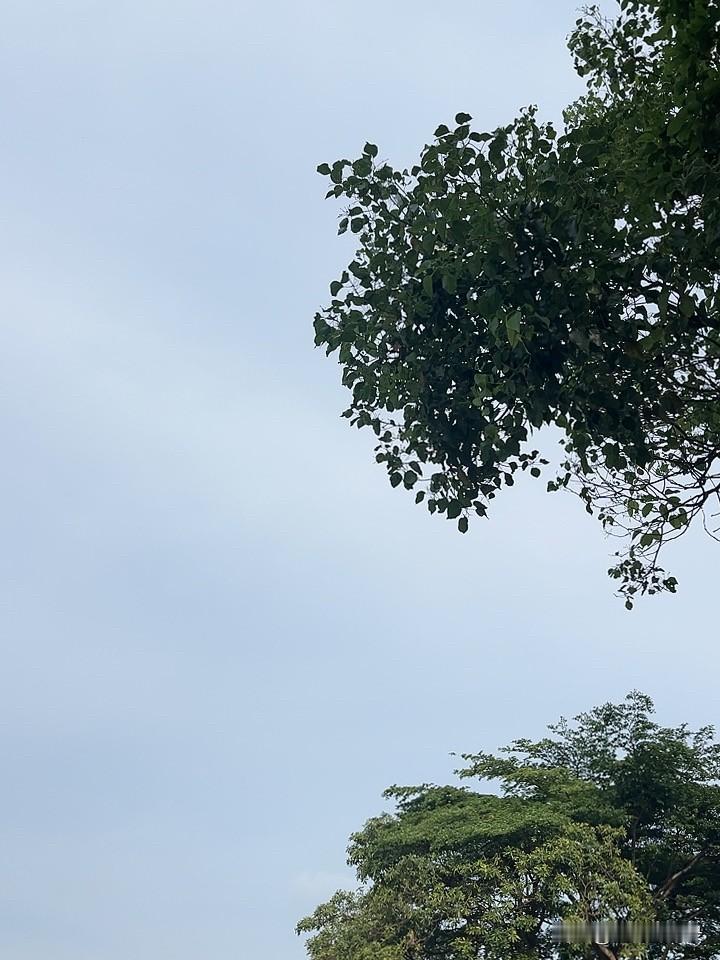 《资治通鉴》：对付小人的唯一心法：不斗人，只跳出局外先讲个真事。我朋友被同事