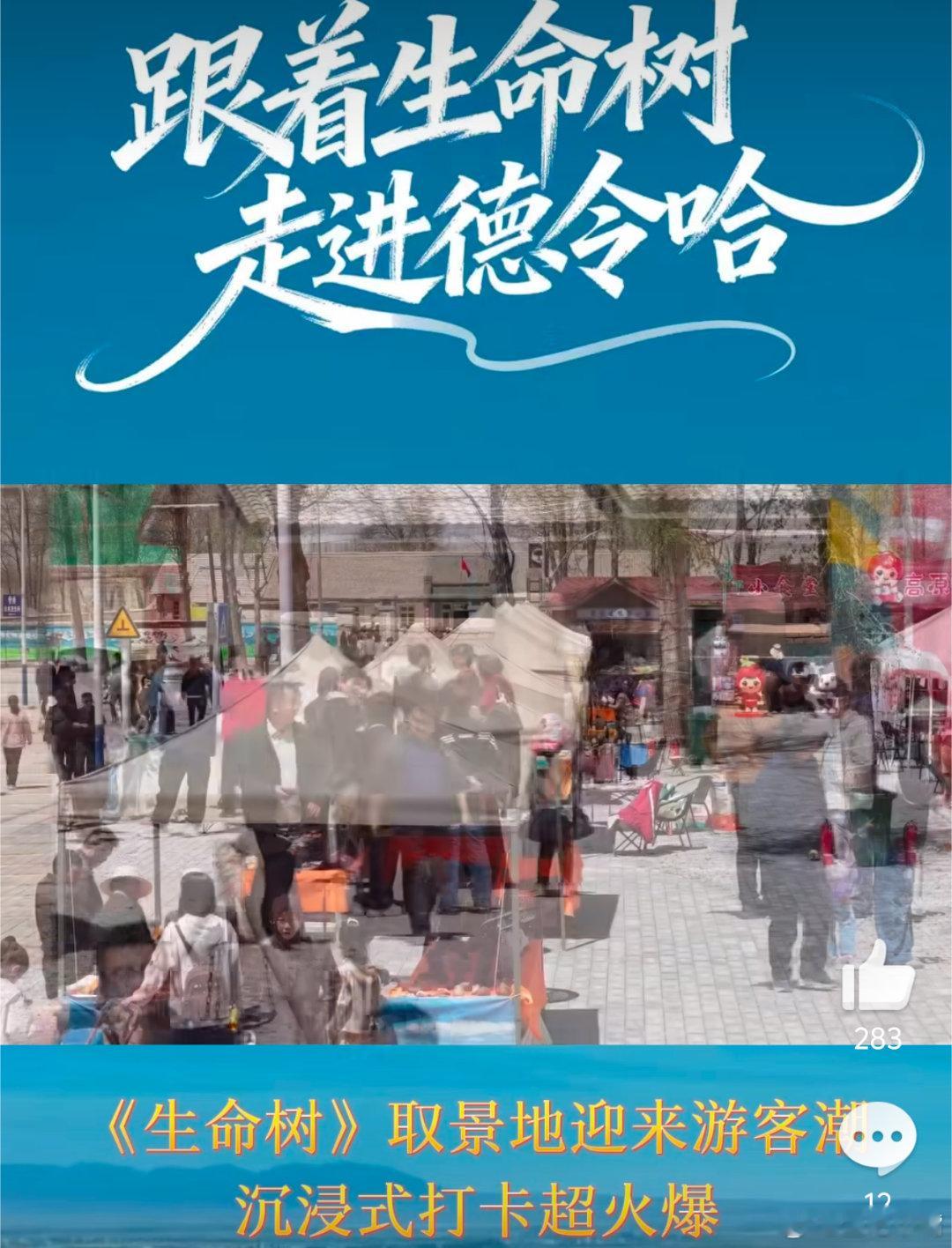 生命树！火爆出圈！！涵盖各个领域！持续升温！后劲真大！1️⃣《生命树》取景地德令