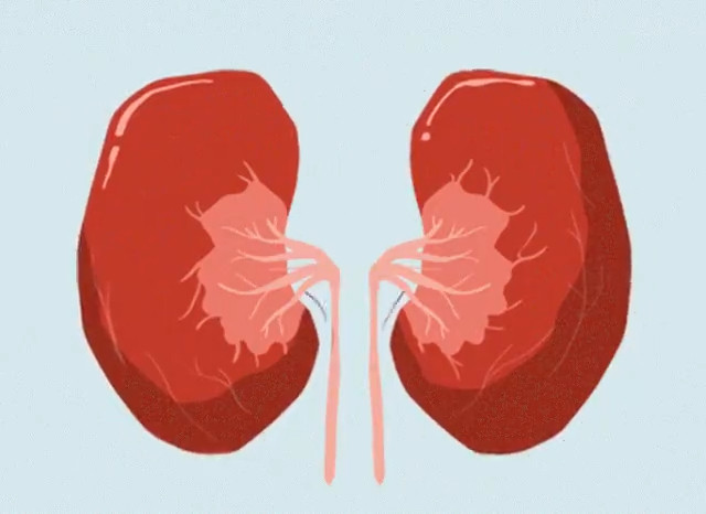 出现以下几种情况时，要警惕肾功能受损，有些症状在饮水后可能尤其严重。1️⃣尿液味