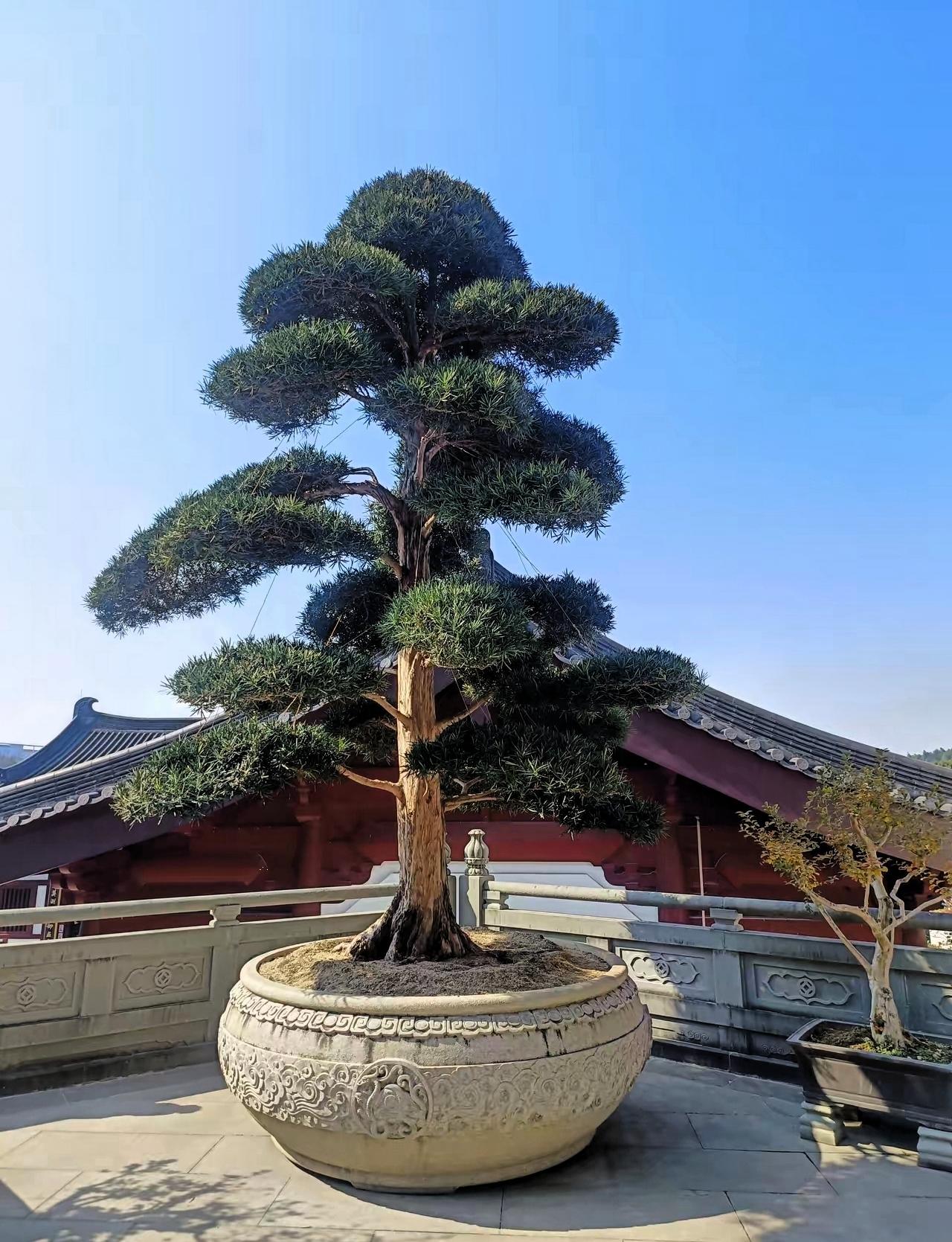 拿捏一个人最狠毒的方式​一、交往1.不管谁家有事，只要没通知你，那就一律装