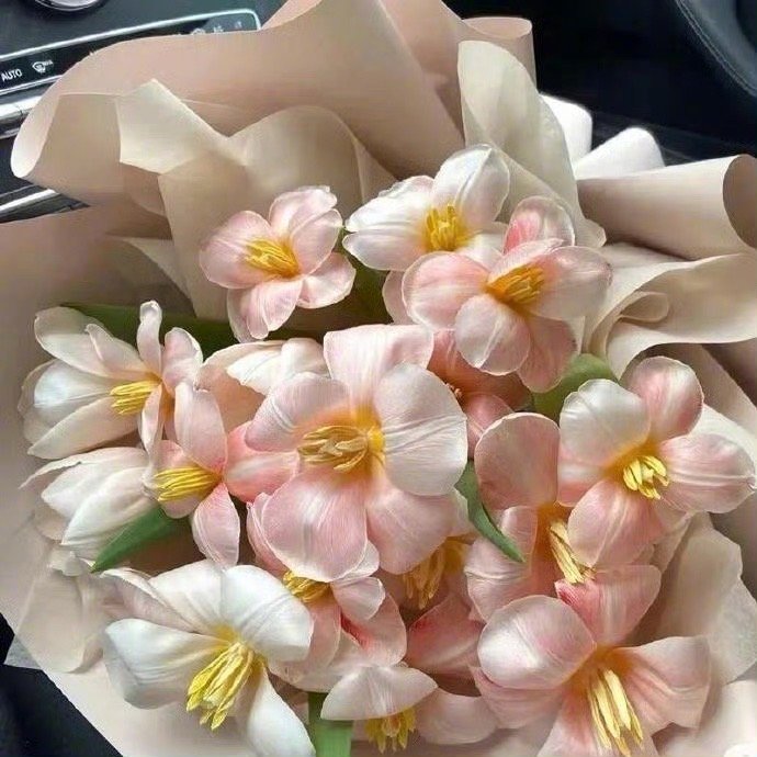 祝你我百事可乐，万事芬达心情雪碧，一周七喜天天娃哈哈，年年高乐高